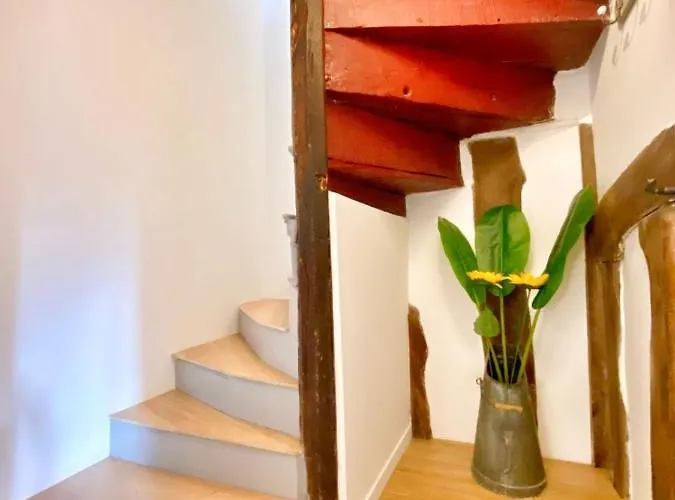 La Terrasse Notre Dame - Casa Di Carattere - 4p - Centre Casa vacanze *